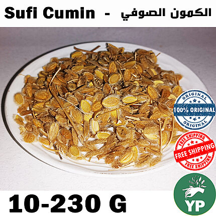 Whole dried Moroccan Sufi Cumin seeds with stems and husks displayed on a white ceramic plate, showing golden-brown color and natural texture