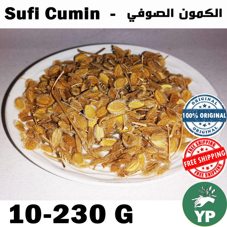Whole dried Moroccan Sufi Cumin seeds with stems and husks displayed on a white ceramic plate, showing golden-brown color and natural texture