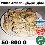 Whole pieces of natural Moroccan white amber resin arranged on a white ceramic plate, showing ivory and beige textured surface