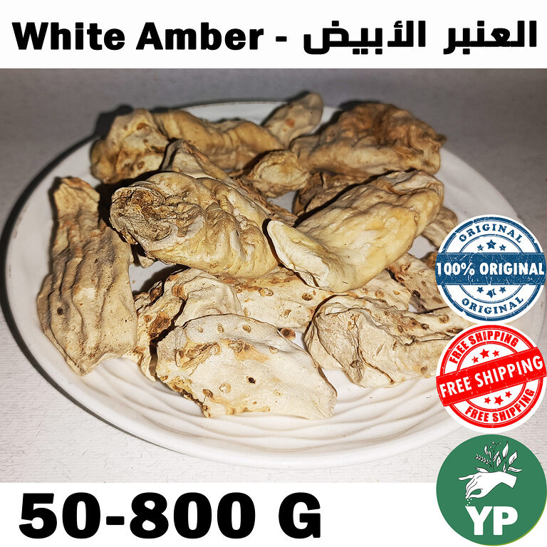 Whole pieces of natural Moroccan white amber resin arranged on a white ceramic plate, showing ivory and beige textured surface