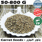 Dried wild carrot seeds piled in a white scalloped ceramic dish on a dark marble surface, showing small olive-green ridged seeds