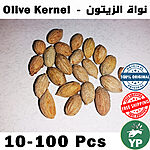 Close-up of dried Moroccan olive kernels scattered on a light surface, showing their natural beige-brown textured oval shape
