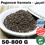 A white ceramic bowl filled with dark brown Peganum Harmala seeds on a wooden surface, with a decorative ceramic lid beside it