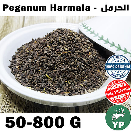 A white ceramic bowl filled with dark brown Peganum Harmala seeds on a wooden surface, with a decorative ceramic lid beside it