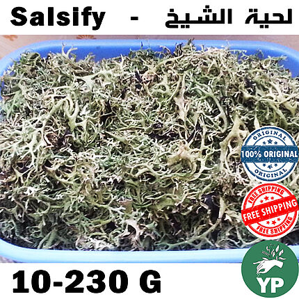 A tray filled with dried Moroccan salsify herb showing its distinctive wispy thread-like green fronds