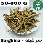 Dried golden-brown Sarghina root pieces piled on a white scalloped ceramic plate on a light background