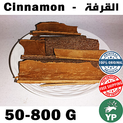 Whole natural cinnamon bark sticks arranged on a white ceramic plate, showing rich reddish-brown color and layered texture