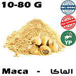 A golden pile of fine maca root powder with several whole dried maca roots in front on a white background