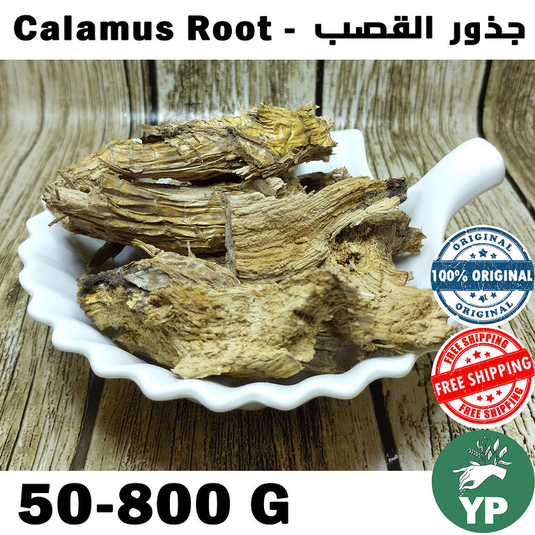 Dried whole calamus root pieces displayed in a white scalloped ceramic dish on a rustic wooden surface